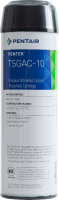 Картридж Pentair (Pentek) TSGAC-10 10SL (гранулированный уголь с дополнительным обогащением)