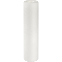 Картридж Electrolux AM Mechanical 10-5 10SL (полипропилен)