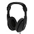 Ritmix RH-524